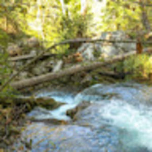 Meet your Posher, Ed